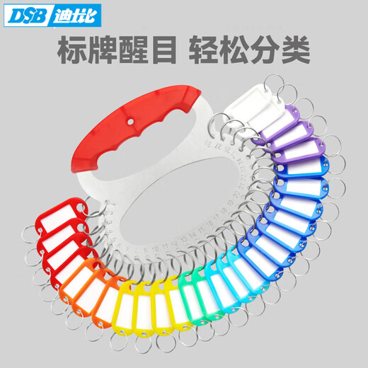DSB (Disby) Red Key Disk 18-bit Key Ring Landlord Tag Card Chain Management Key Chain Thickened Stainless Steel Mark Storage (with 23 Marking Cards)
