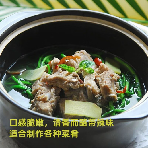 Xiangbin Four Seasons Guangdong Watercress Seeds Field Planting Wild Aquatic Balcony Easy to Plant Live Vegetable Seeds Watercress Seeds Watercress Seeds 3g Original x5 Pack