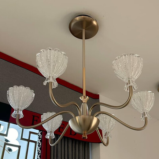 
Opp Lighting; OPPLE2025 new past lighting 9227 high-end solid modern living room dining room chandeliers minimalist aluminum warm light bag 12 heads living room three-color unlimited remote control