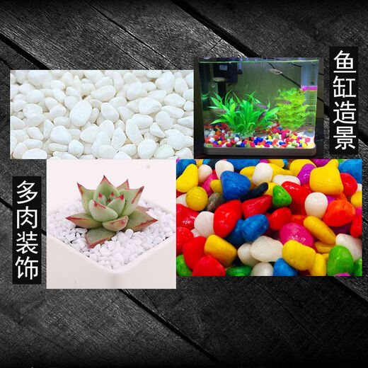 Runhuanian succulent paving stones, small colored stones, flower pots, green plants, white stones, colorful stone pots, flower growing stones, decoration, small colored stones 2g (used for flower pot paving or soil mixing)