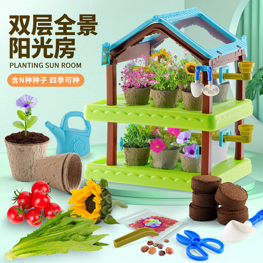 Sunshine Planting House Kinderbotanische Gartenfarm Gemüse und Blumen spielen Hausspielzeug Wissenschaft Kleines Experiment Set Doppelschicht Sonnenschein Pflanzhaus [VC8062+ Geschenkbox]