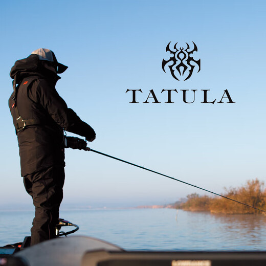达亿瓦（DAIWA）碳素蜘蛛路亚竿鲈鱼专用轻量化设计 682m 22新款 XB-ST CS.Q(2.