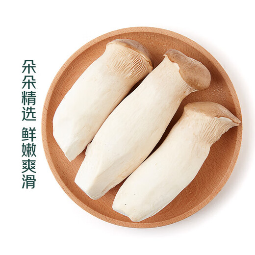 King oyster mushroom about 250g