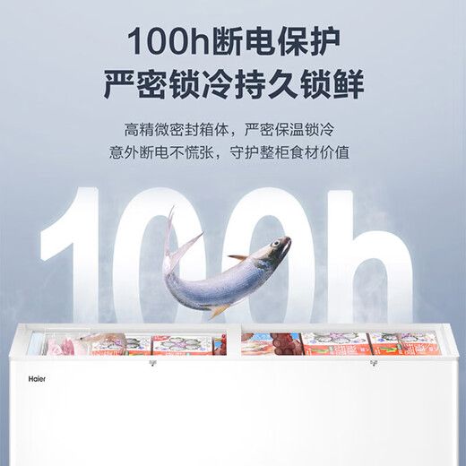 海尔（Haier）冰柜家用大容量冷藏冷冻两用一键转换商用全冷冻减霜小型冷柜超低温速冻300/400/500升以上 【-38度速冻】断电保护GHEP 829L