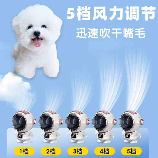OUOETY Yorkshire Maltese special puppy mini hair dryer pet mouth hair facial facial hair blowing supplies mouth hair hair dryer black mute five-speed adjustment
