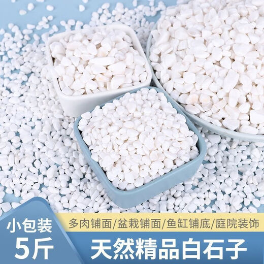 Runhuanian multi-succulent pavement stone flower cultivation small white pebbles pebbles rain flower stone fish tank landscaping potted courtyard paving 5Jin Jin is equal to 0.5kg fine snowflake white 1-3mm 1 capsule trial pack