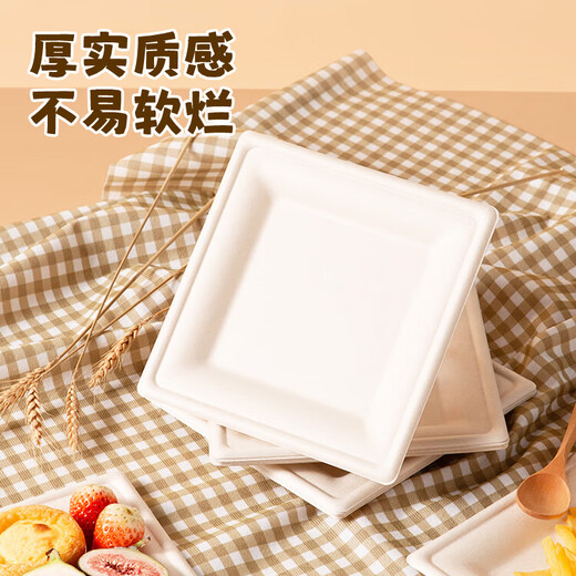 MAXCOOK Disposable Paper Plate Dinner Plate Biodegradable Cake Plate Picnic BBQ Plate 8 inches 20 pieces MCPJ7510