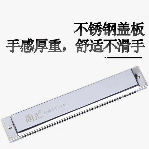 Guoguang 24-Loch-Sammlerversion importiert Gong Polyphonic Mundhomonica (Silber, Kupfer Zither Grid, künstliche Lederbox)