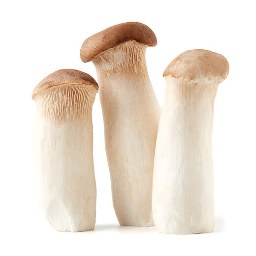 King oyster mushroom about 250g