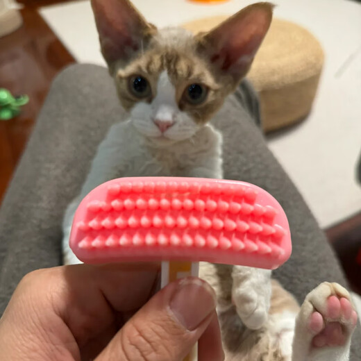 YWZR Devon cat comb special comb cat silicone comb to remove floating hair artifact massage comb cleaning brush pet supplies large size Devon cat silicone comb-sky blue