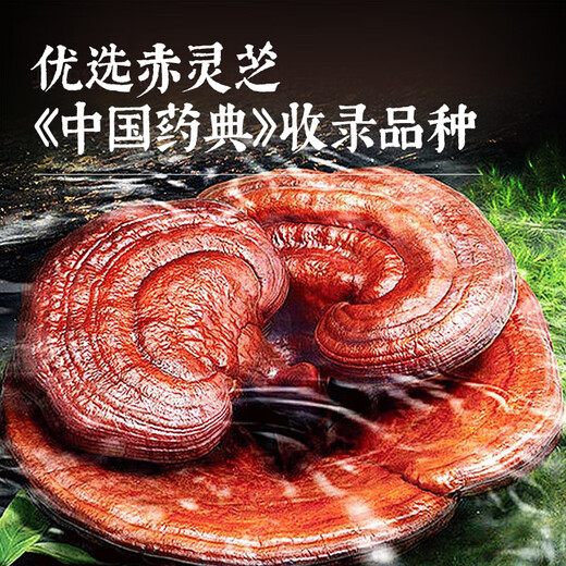 Beijing Tongrentang Beijing Tongrentang Ganoderma spore powder 15 large bags Specifications Traditional Chinese medicine pieces Ganoderma spores Tonify the kidneys and lungs Nourish the heart and calm the mind Stop bleeding and reduce phlegm Physical weakness after illness 3g*15 bags Mid-Autumn Festival 1 box