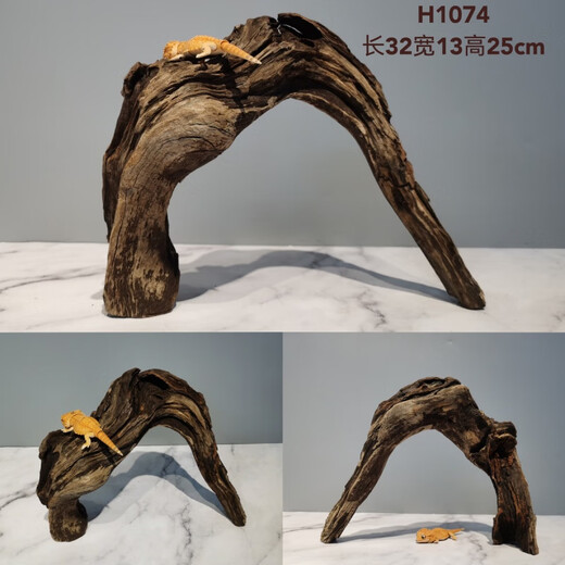 Lizard de león con múltiples mascotas sube 30-80 cm Guardias de reptiles de madera para evitar ramas de rana de árboles decorativas paisajismo H1047 Calidad