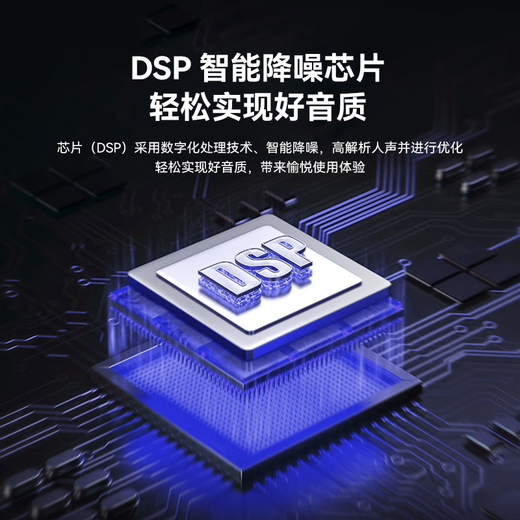 Philips CSS2850 portable wireless microphone handheld microphone outdoor audio karaoke sound card live broadcast home singing universal microphone home ktv conference speaker charging U segment bel canto karaoke microphone single microphone version (for use with audio/sound card)