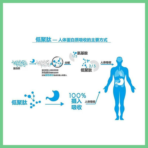 北京同仁堂胖东来品质地龙蛋白肽粉:地龙提取物含量:地龙胶原蛋白肽:小分子 地龙蛋白肽9925 80克送20克共100克