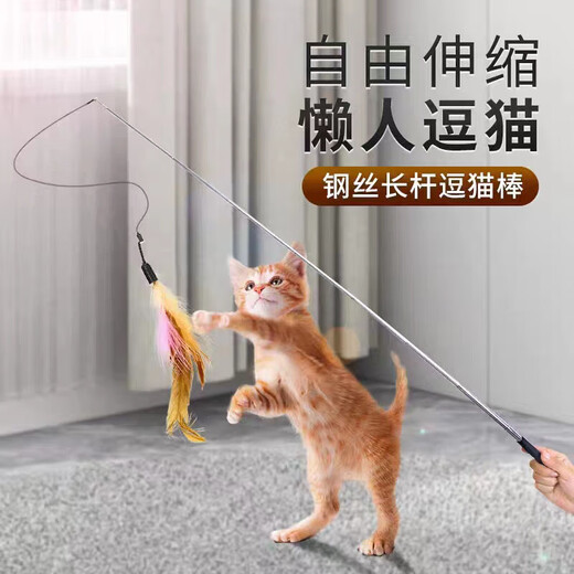 【7373人好评】加长逗猫棒长杆可伸缩杆1米8超长钢丝钓鱼竿羽毛自 (黑杆)1米8加长伸缩杆+六件套