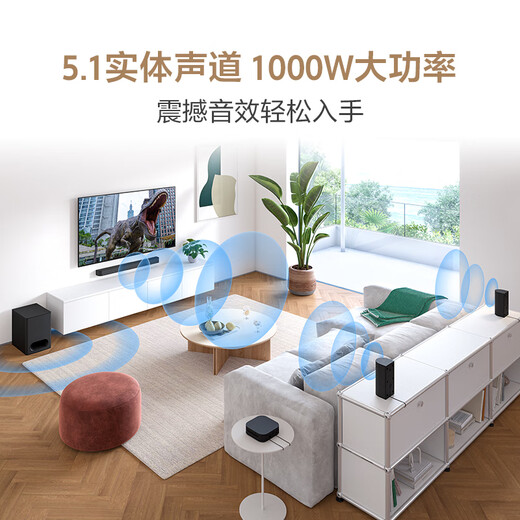 Sony (SONY) HT-S60 TV Echo Bar Home Theater Bluetooth Smart Speaker/Audio Subwoofer 5.1 Channel Dolby Surround Sound Wall-mounted Long Bar Audio Home Living Room HT-S60 (National Subsidy Consultation and Receipt)