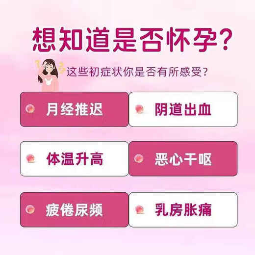 Pregnancy test stick early pregnancy test paper early pregnancy accurate test paper high precision pregnancy test strip pregnancy test pen for women 2 copies