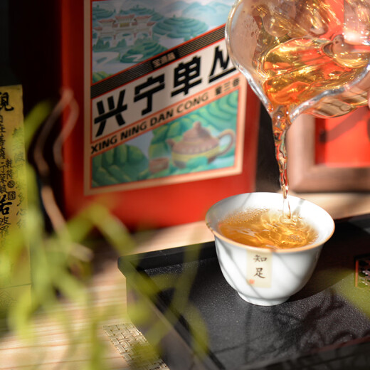 宝源晟兴宁单丛茶蜜兰香型乌龙茶2025一级春茶蜜香兰韵醇和回甘耐泡袋装 100克/共1袋