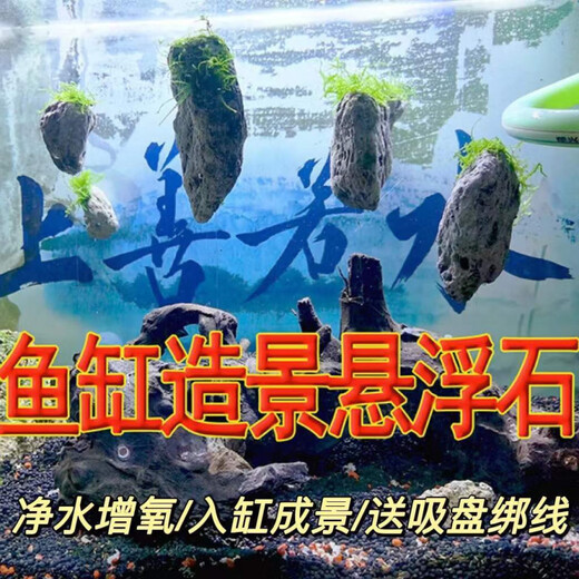 Runhuanian fish tank aquatic plant landscaping stone Moss pumice stone Avatar suspended stone lazy water plant waterscape fish and shrimp avoidance ornaments suspended stone 5-8 cm each glue the water plants