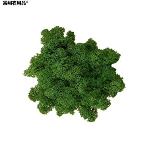 Immortal moss green plant wall moss lawn moss decoration DIY micro landscape white hair moss handmade materials Moss black brown (20g) cannot be put in water