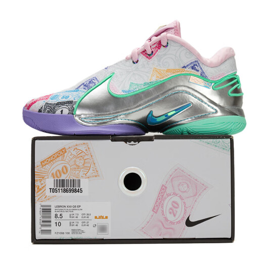 NIKE男鞋 25夏季新款运动鞋LEBRON 22詹姆斯22缓震耐磨场上实战篮球鞋 FZ1098-100 43