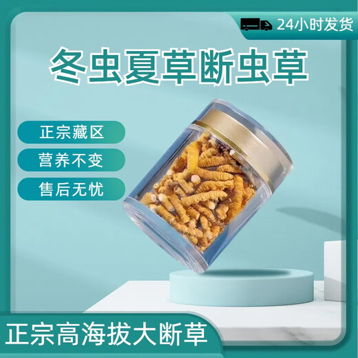 Authentischer tibetaner Cordyceps sinensis hohe Höhe Cordyceps Sinensis großes gebrochenes Gras echtes Cordyceps Sinensis sich selbst gegessenes hochwertiges authentisches Tibet Nagqu hochlöslich Cordyceps Sinensis 10 Gramm Pack 1 Gramm, insgesamt 11 Gramm