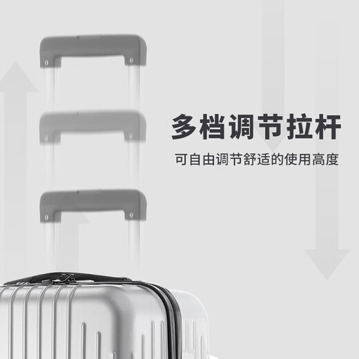 Vandia suitcase men's large capacity 24-inch universal wheel trolley case air travel bag password box women's leather box silver