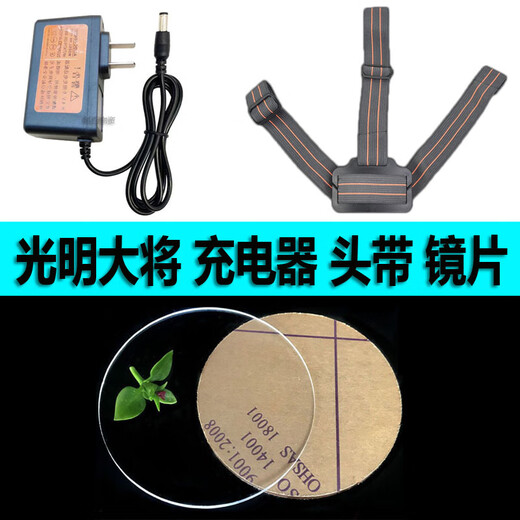 Cargador de luz delantero Bright General Weihui Original 8.4V DC High-Power DC 5.5 Puerto Accesorios universales 9923S6001508 Cargador