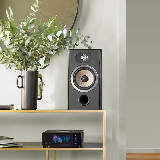 Fokus Der Geist des Tons Jinglang Buchhandel Sprecher Evo X N1 Jinyun Nr. 1 Haushaltsfieber Hifi High-Fidelity Passive Lautsprecher müssen mit einem Stromverstärker ausgestattet werden