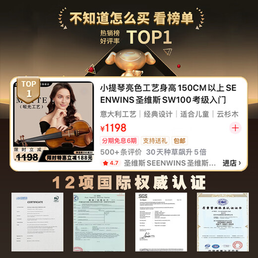 圣维斯SEENWINS1715圣维斯sw100手工小提琴官方初学者成人儿童专业级 LIGHT（亮色工艺） 4/4身高150CM以上及成人