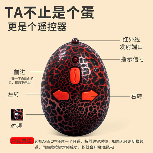 千封新奇特仿真遥控动物 红外线整蛊遥控蛇遥控蜘蛛玩具 9922遥控七星瓢虫
