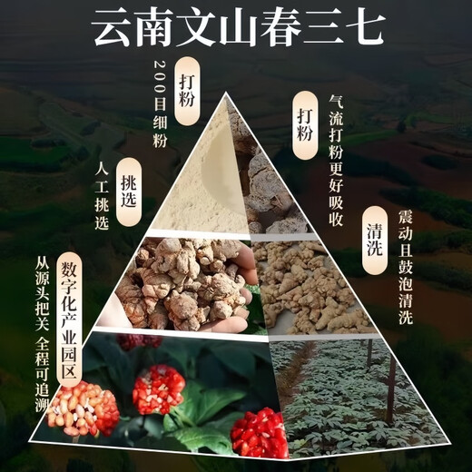 Taicheng Yanyu echtes Yunnan Wenshan reines Panax Notoginseng Pulver 20 authentische hochwertige Superpulver chinesische medizinische Materialien zur Förderung der Blutkreislauf und zur Entfernung der Blutstase 1 Dose Panax Notoginseng Pulver [300 Gramm]