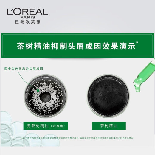 欧莱雅   L'OREAL洗发水茶树植萃去屑洗发露套装无硅油清爽控油舒缓头皮保湿留香 茶树去屑净油洗发露 500ml