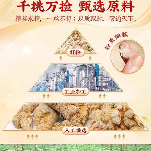 北京同仁堂三七粉510g云南文山正宗田七磨粉材药中品at 20头超细粉【5罐家庭装两斤半】