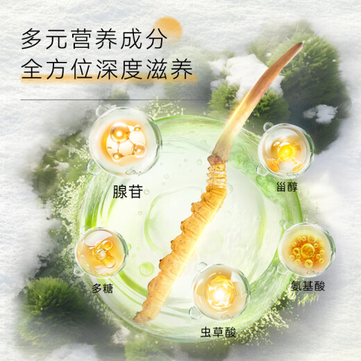 东阳光冬虫夏草3-4根/g10根滋补礼盒冬虫草营养品补品送长辈端午节礼物