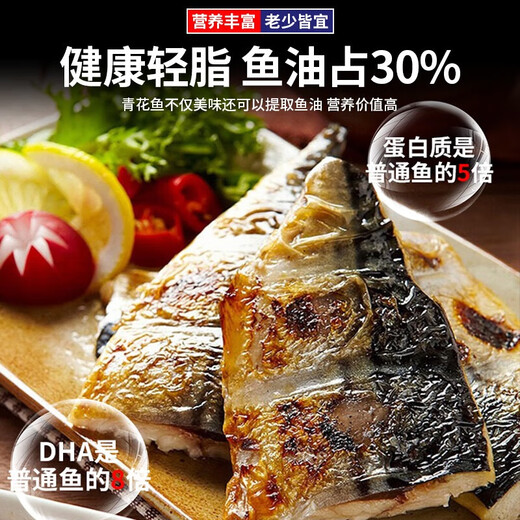 尚致挪威青花鱼鲜切青花鱼片深海鱼青占鱼新鲜冷冻青鱼鲭鱼生鲜鱼类 1000g【190-220g*5片】特大净重