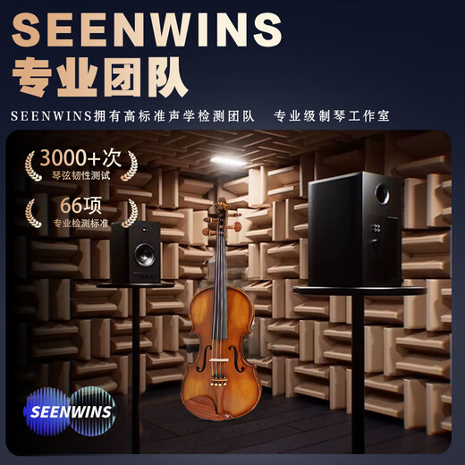 圣维斯SEENWINS1715圣维斯sw100手工小提琴官方初学者成人儿童专业级 LIGHT（亮色工艺） 4/4身高150CM以上及成人