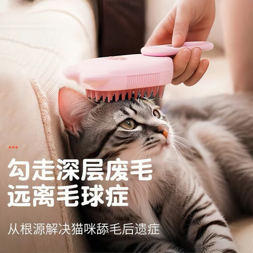 One-touch spray brush cleaning and hair removal comb for cats and dogs, steam anti-flying hair electric pet supplies, electronic spray comb with handle 1, random colors