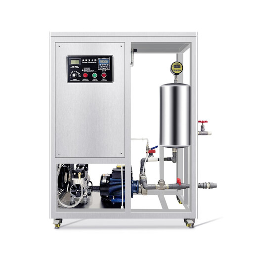 Deminno Deminno high concentration ozone water generator food factory fruit and vegetable cleaning meat disinfection deodorization packaging bottle sterilization large ozone generator all-in-one ozone water machine 1/2 tons of water per hour ozone water generator