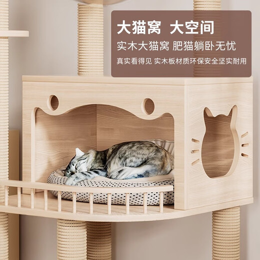 DUTRIEUX Marco de escalada para gatos de madera maciza, nido para gatos, árbol para gatos, estante para gatos, columna tongtian, cápsula espacial grande para el hogar, pequeña, especial para dormir y jugar, tablero de madera maciza 9234, recomendado para múltiples gatos + columna de madera maciza de cáñamo blanco
