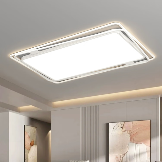 简顿普瑞护眼极简客厅灯线条几何设计现代风全光谱无缝灯具 130W 28㎡内适用 1105lm A款三色