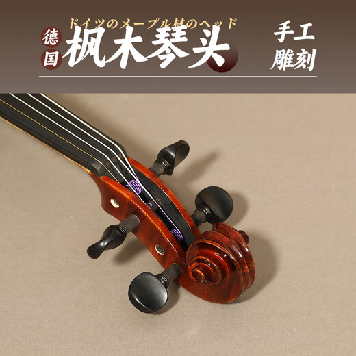 SUZUKI日本铃木进口小提琴实木儿童成人初学专业演奏考级 V500 【4/4】适用身高155cm-220cm