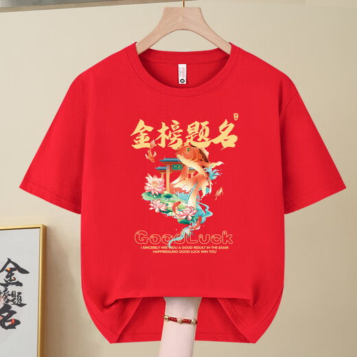 黛笙2025高考专用T恤金榜题名短袖家长送考衣服中考必胜加油定制班服 高考必胜-829-红色 S _(80-95斤)