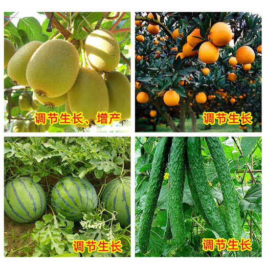 Guoguang Zuo Gualing 0.1% Chlorfenuron fruit setting medicine melon fruit expansion and growth regulation 10ml*10 bottles