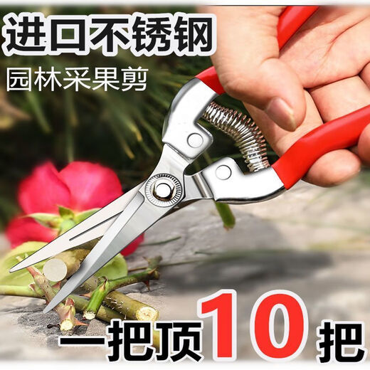 Yanran stainless steel fruit picking scissors, gardening scissors, pruning shears, imported grape pitaya scissors, special scissors for picking pepper, stainless steel fruit picking scissors, 1 pair
