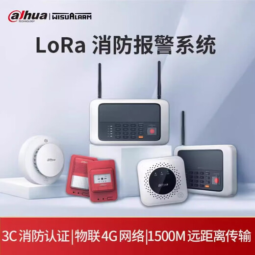 Dahua Dahua Lora smoke alarm smoke fire detection one-button alarm system with networked remote smoke fire 3c certification 4G host SAM3LGB