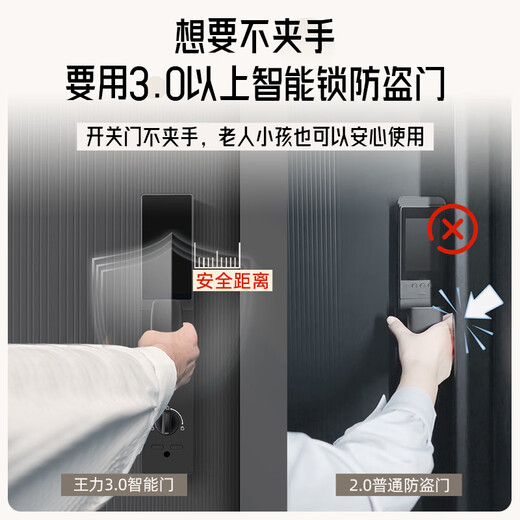 
WL Wangli Level 4 new anti-theft door household entrance door smart mother door single door A100 [3.0 hand-sealed series] face with screen lock (P50Pro) single door 2250*1050