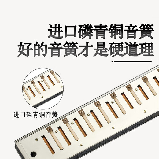 Guoguang 24-Loch-Sammlerversion importiert Gong Polyphonic Mundhomonica (Silber, Kupfer Zither Grid, künstliche Lederbox)