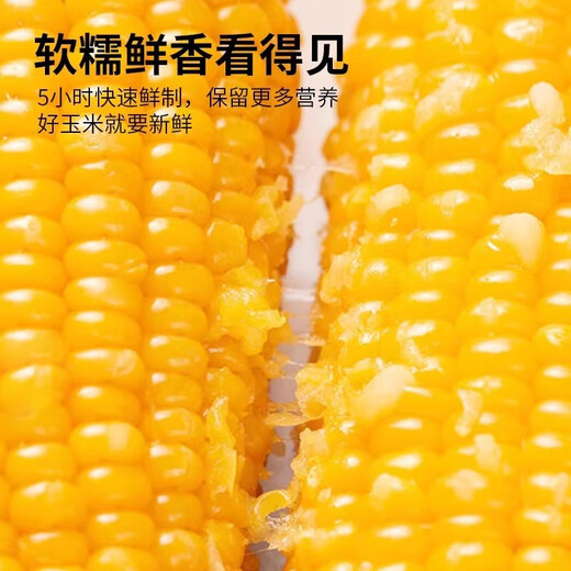 Box of 12 authentic Northeast yellow waxy corn vacuum packed sweet and sticky fresh non-GMO meal replacement