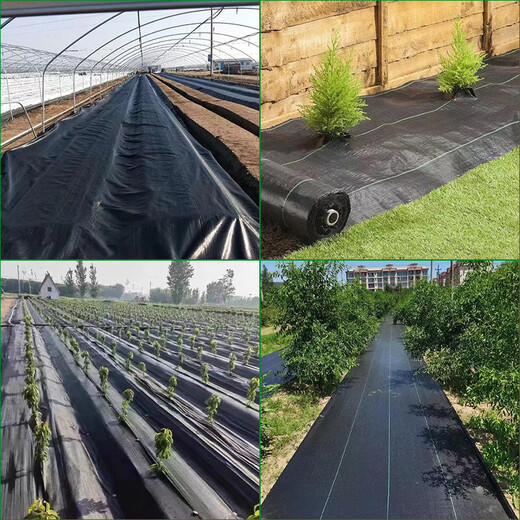 Agricultural grass-proof cloth, weed-killing cloth, agricultural ground cloth, fruit tree cover cloth, grass-shading cloth, black mulch film, durable punched slices, anti-aging fruit tree special punched slices, 10 pieces of slices 1.5*1.5 meters, free closing nail